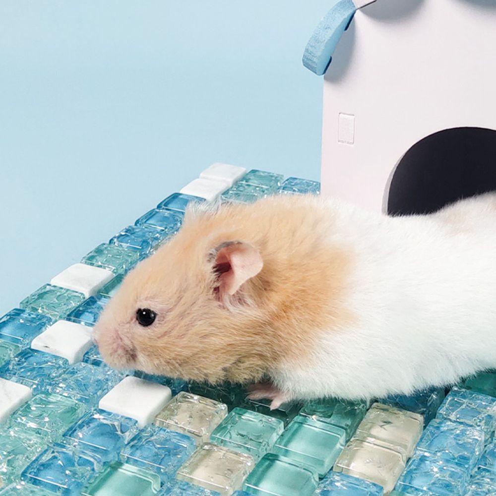 Thảm Lót Làm Mát Cho Chuột Hamster