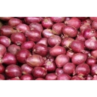 Chuyên sỉ Hành tím InĐô