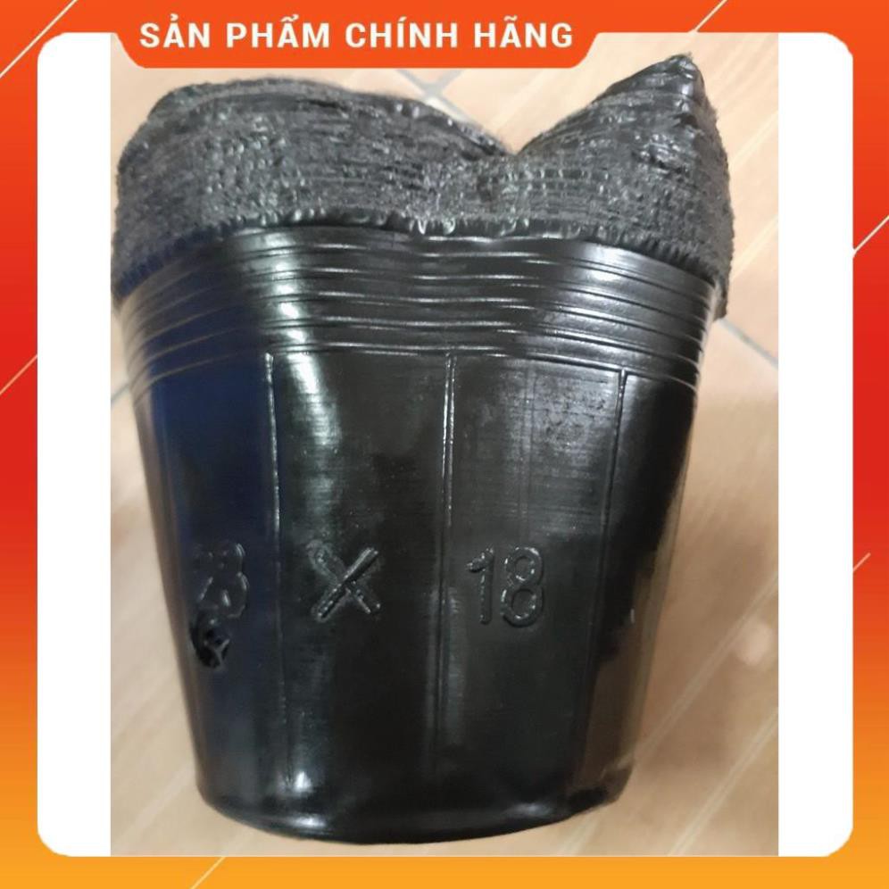 BẦU ƯƠM CÂY GIỐNG KT 28X30