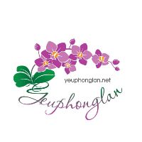 YÊU PHONG LAN