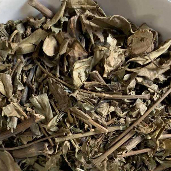 Cây Hoàn Ngọc Trắng 1Kg Hỗ Trợ Ung Thư, Hoàng Ngọc Khô Ngừa U Bướu, Trà Hoàn Ngọc Tốt Cho Người Viêm Loét Dạ Dày