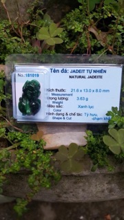 Tỳ Hưu Ngọc Cẩm Thạch (Jade)