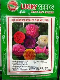 HẠT GIỐNG HOA HỒNG LEO PHÁP MIX