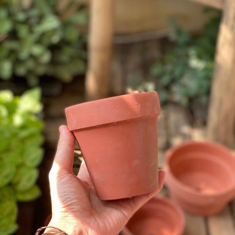 Chậu đất nung trồng cây cảnh, Bonsai Terracotta pots BatTrang (Trắng, Nâu, Cao, Thấp) hàng Bát Tràng