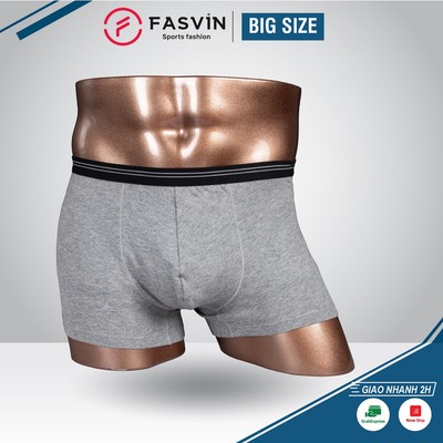 Quần Lót Nam Big Size FASVIN Vải Cotton Chun Co Giãn Mềm Mát LSD22175.HN