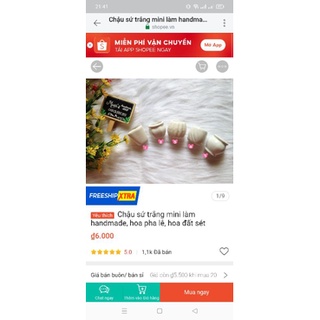 Combo chậu sứ + hoa hồng