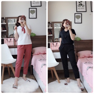 Bộ cotton vic hàng kèm túi giấy chuẩn vnxk