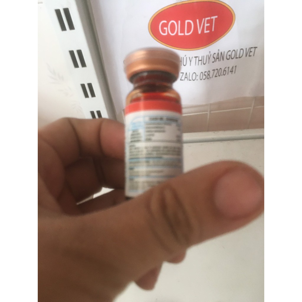 [ Giá rẻ] Super Vitamina B12 5500 10ml -  gà đá sung đá bo lớn