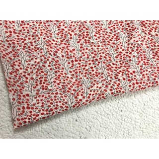 Set vải 300k.