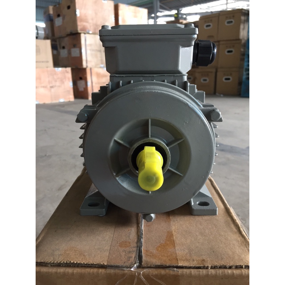 Động cơ mô tơ điện 3 pha - 0.5 ngựa  - Công nghệ Đức - 2Pole vỏ nhôm