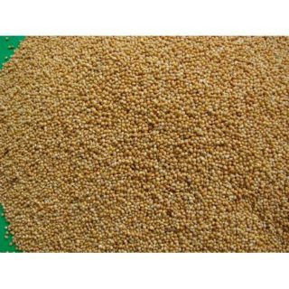 Hạt kê cho chim gói 500g