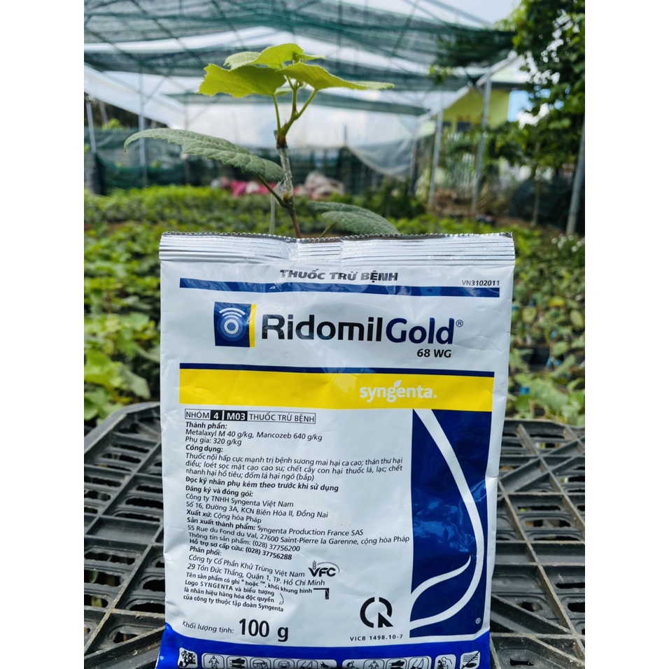Thuốc Ridomil GOLD 68WP trừ bệnh nấm thán thư rỉ sắt đốm lá cây trồng 100gr