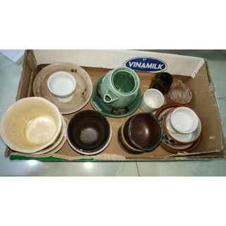 Combo sỉ chậu trồng sen đá.
