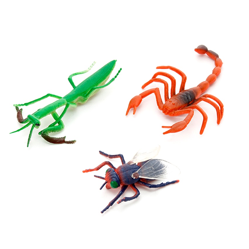 Bộ đồ chơi 12 mô hình côn trùng Safari size trung  New4all Animal World