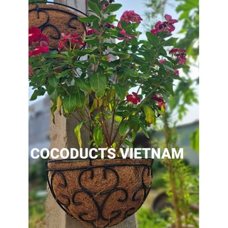 Giỏ hoa Xơ Dừa Hình Bán Nguyệt