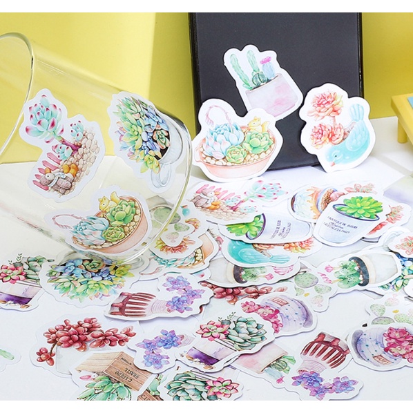 KimiTape Sticker hộp 45 hình dán sen đá trang trí Bullet Journal