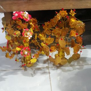 cây cành vàng lá ngọc  58k