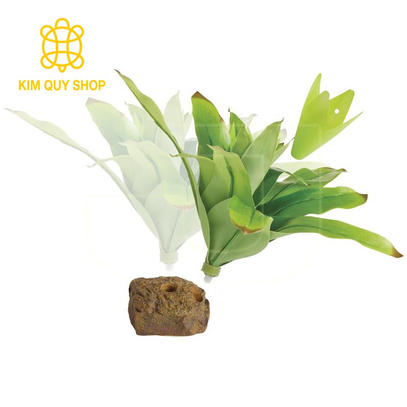 Cây trang trí cho chuồng bò sát Exo Terra ( giữ ẩm kích thích ếch đẻ trứng)