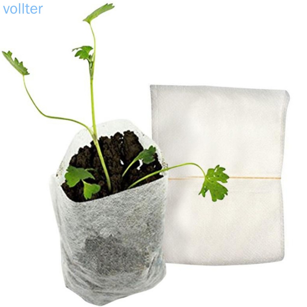 Set 100 Túi Trồng Cây Tiện Lợi 8x10cm