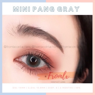 KÍNH ÁP TRÒNG MINI PANG GRAY <6 THÁNG>