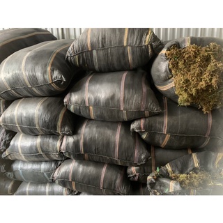 Rêu rừng trồng lan 200g