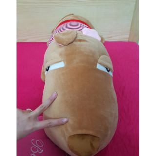 Gấu bông Puco cao cấp 90cm (ảnh thật)