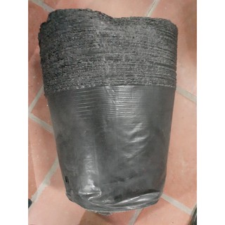 1KG BẦU ƯƠM CÂY GIỐNG KT 18X16CM