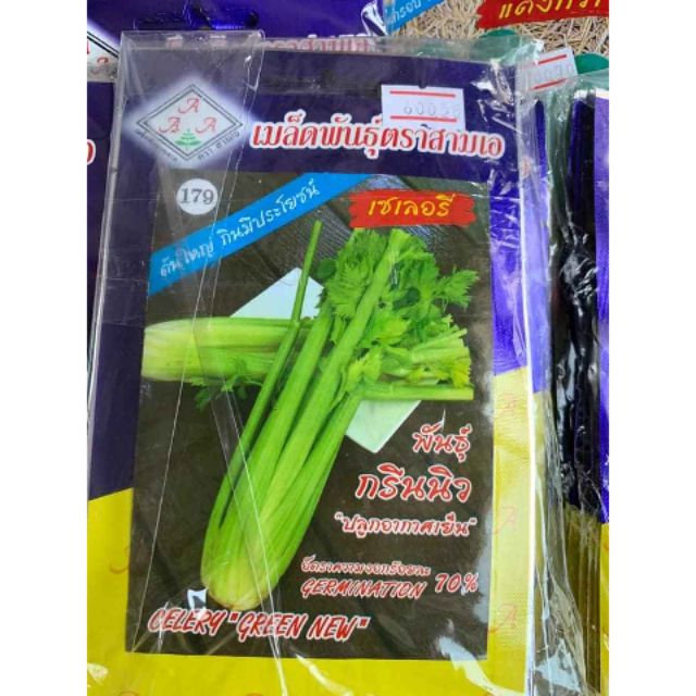 🌱 CẦN TÂY BẸ TO THÁI LAN