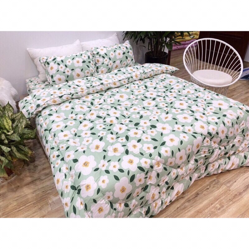 Trọn bộ 5 món ga gối chăn phao poly cotton có ruột bông dày loại 1( ib chọn mẫu ) | BigBuy360 - bigbuy360.vn