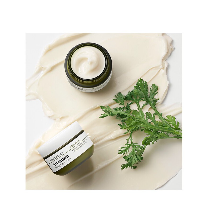 Kem Dưỡng Da Ngải Cứu Bringgreen Artemisia Calming Repair Cream Limited Edition