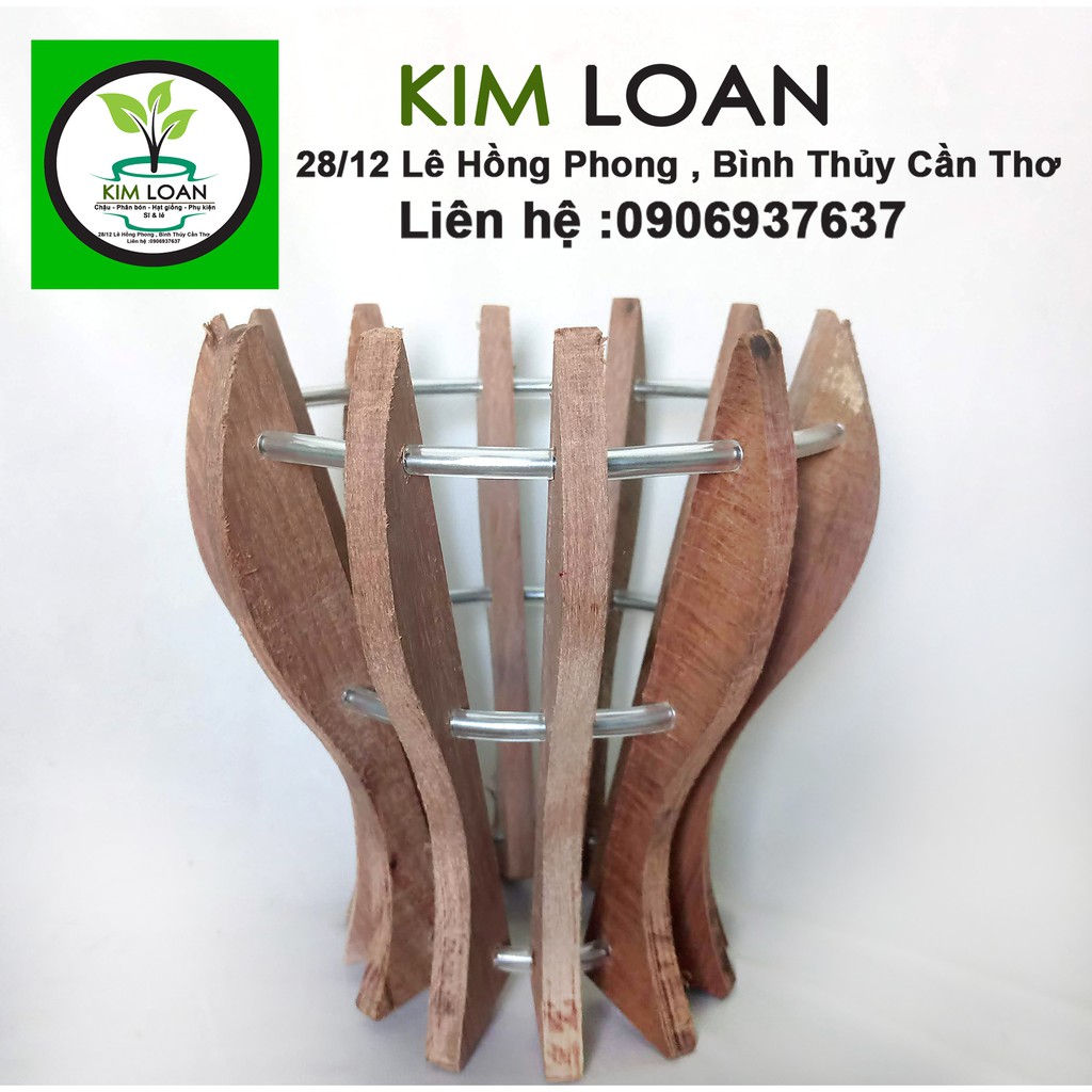 Combo 2 chậu lan gỗ hình ly 18x18cm