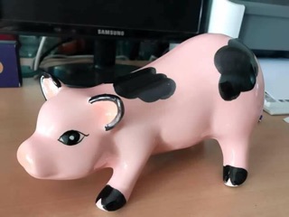 Lợn đốm sứ tiết kiệm