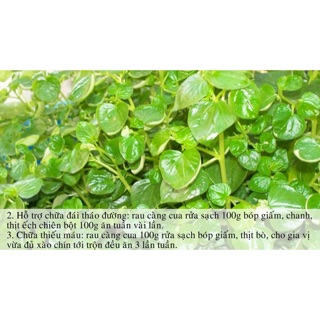 Hạt giống Rau càng cua 🦀 ☘️