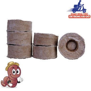 [VIÊN NÉN XƠ DỪA] kích mầm hiệu quả, 100 xơ dừa và mụn dừa