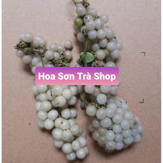 30 Hạt giống SƯƠNG SÂM LÔNG