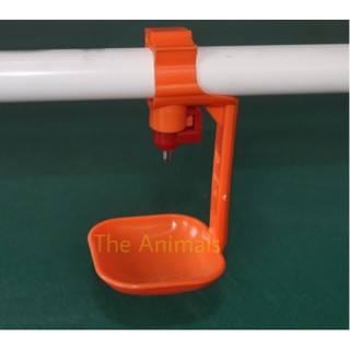 Núm uống 1 quai cho gà set 5 cái