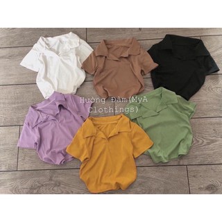 ÁO CROP CỔ BẺ (KÈM HÌNH THẬT)
