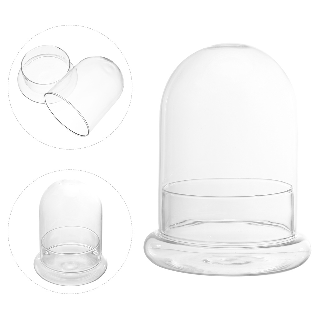 Hộp Kính Trong Suốt Trưng Bày Cloche Bell Dome Trưng Bày Cây Mọng Nước Đèn Thần Tiên