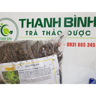 CÂY THUỐC DÒI Khô _1KG - Thảo Dược Thanh Bình