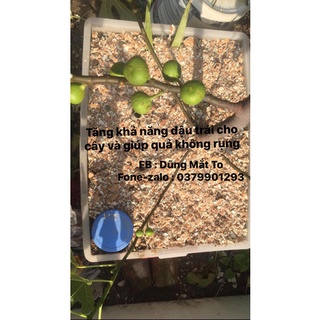 vỏ trứng gà 5kg