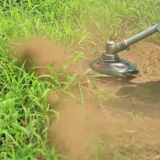 Lưỡi cắt cỏ tận gốc