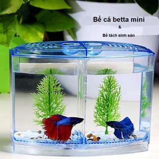 Bể nhựa nuôi cá Betta mini 2 in 1, hồ cá để bàn size 20x14x10 cm Chất Lượng Số 1