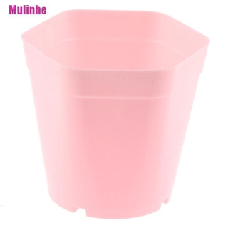 Set 5 Chậu nhựa trồng hoa mini