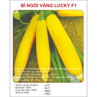 Hạt Giống Bí Ngòi Vàng (10 hạt)