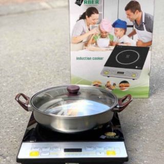 Bếp điện từ đơn Arber AB300