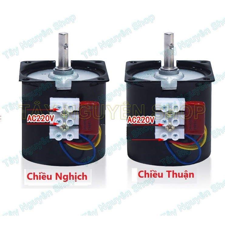 Động cơ giảm tốc 14W 220v 2.5RPM - 5RPM - 10RPM - 20RPM - 50RPM - 110RPM