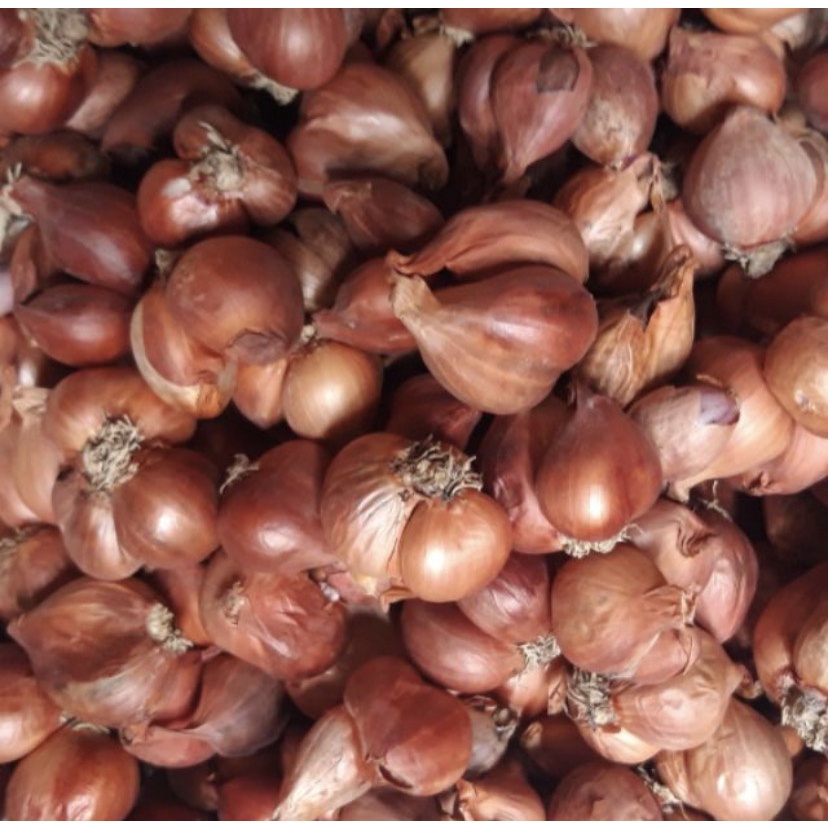 HÀNH KHÔ  LOẠI 1 ĐÃ CHON LỌC HẢI DƯƠNG