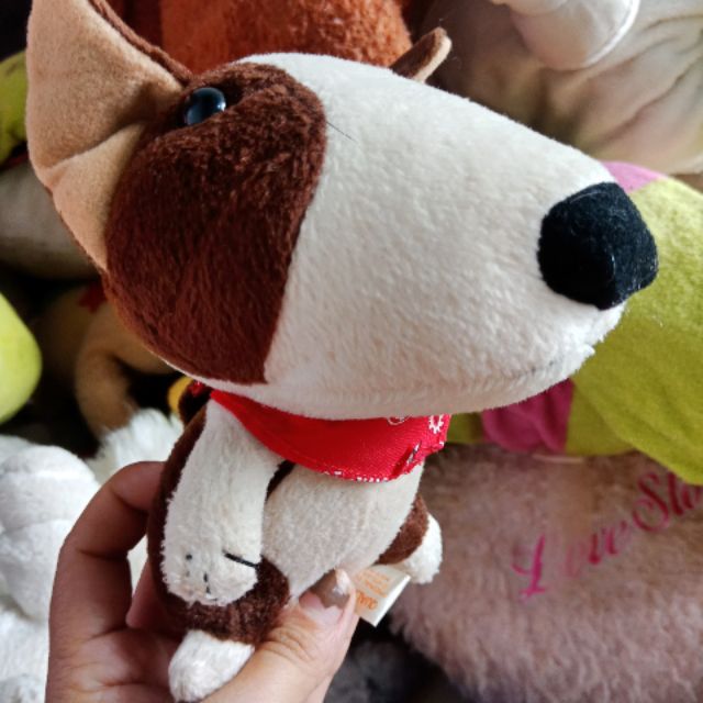 Gấu chi truc mai