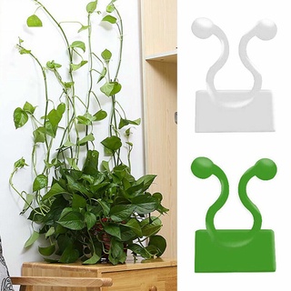 SET 10 kẹp cố định cây dây leo