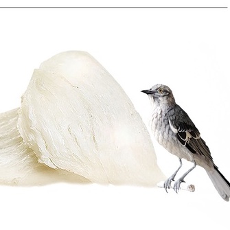 1pcs Mặt Nạ Ngủ Tinh Chất Yến Sào Dưỡng Ẩm Cấp Nước Chăm Sóc Da Và Thu Nhỏ Lỗ Chân Lông | BigBuy360 - bigbuy360.vn